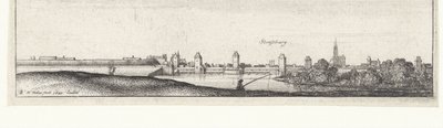 Flusslandschaft mit Blick auf Straßburg von Wenceslaus Hollar
