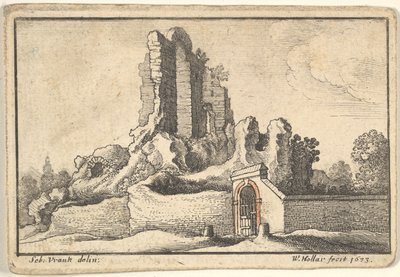 Ruinen und ein vergittertes Tor auf dem Esquilin-Hügel in Rom von Wenceslaus Hollar