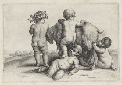 Vier Jungen, ein Satyr und eine Ziege Putti und Satyrn (Serientitel) von Wenceslaus Hollar