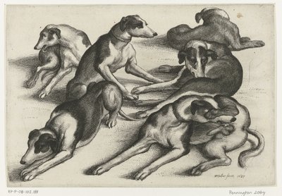 Sechs liegende Jagdhunde von Wenceslaus Hollar