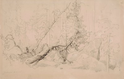 Ohne Titel von Werner Holmberg