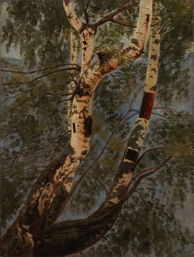 Ohne Titel von Werner Holmberg