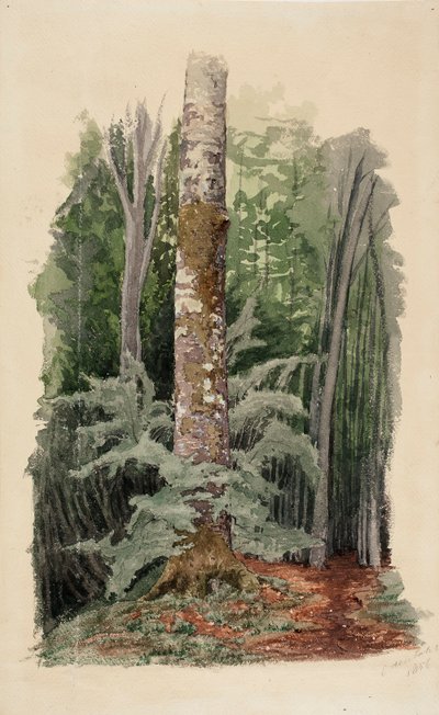 Ohne Titel von Werner Holmberg
