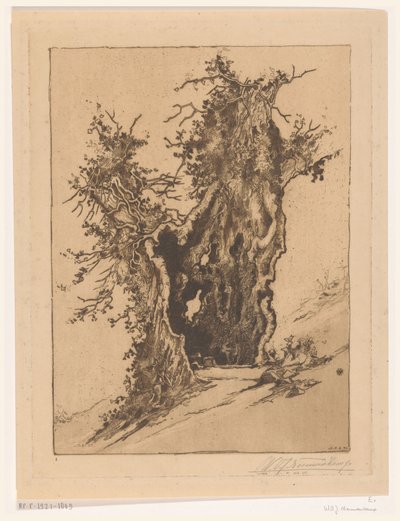 Hohle Baum bei Seelisberg in der Schweiz von Wijnand Otto Jan Nieuwenkamp (signed by artist)