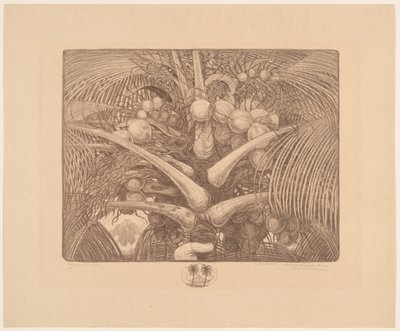 Spitze einer Kokospalme von Wijnand Otto Jan Nieuwenkamp (signed by artist)