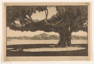 Waringinbäume im Garten des Palastes des Sultans in Yogyakarta von Wijnand Otto Jan Nieuwenkamp (signed by artist)
