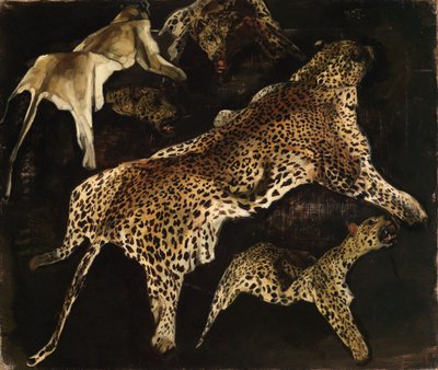 Leopardenfelle von Wilhelm Trübner