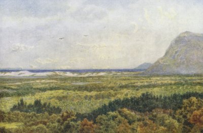 Constantia Valley und False Bay, mit Cape Point von Wilhelm Westhofen