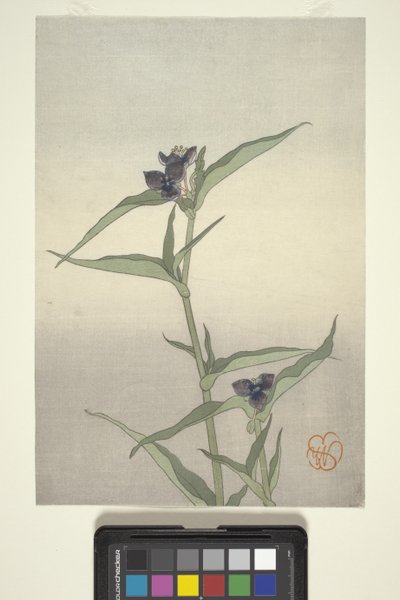 Blumenstudie, ca. 1908 von Wilhelmina Seegmiller