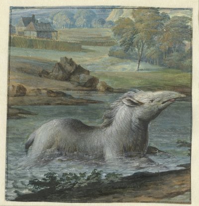 Tapir im Wasser von Willem Hendrik Wilhelmus van Royen