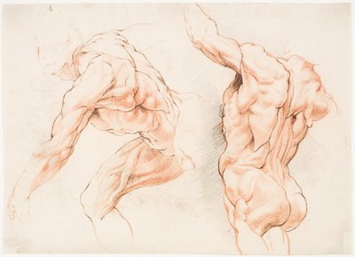 Zwei anatomische Studien eines Mannes, der sich nach links lehnt, und eines anderen von hinten mit erhobenem Arm (Écorché) von Willem Panneels