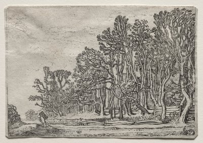 Das Set der Landschaften: Zwei Planken-Hecken von Willem Pietersz Buytewech
