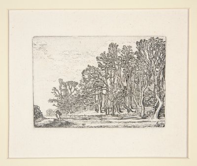 Zwei Plankenhecken, Platte 6 aus Die Landschaften von Willem Pietersz. Buytewech