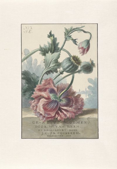 Mohnblumen von Willem van Leen