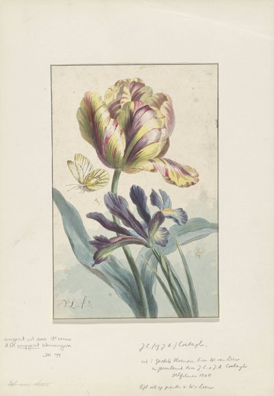 Tulpe und Iris von Willem van Leen