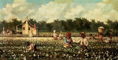 Baumwollfeld, Mississippi von William Aiken Walker