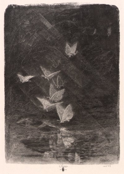 Nachtfalter von William Baxter Closson