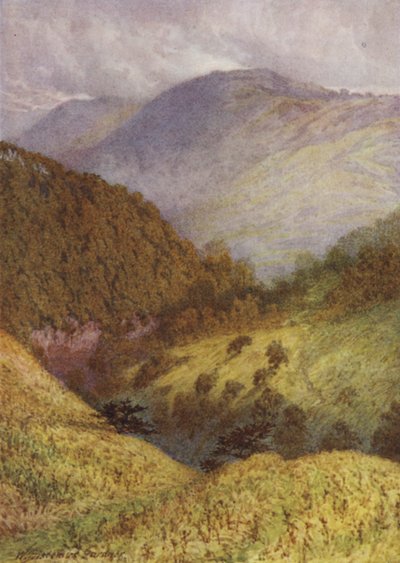 Blick hinunter Chee Dale, High Tor in der Ferne von William Biscombe Gardner