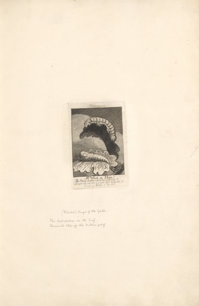Für die Geschlechter - Die Tore des Paradieses, Platte 1, Titelseite von William Blake