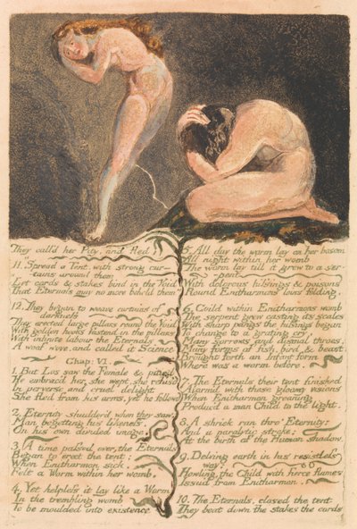 Das erste Buch Urizen, Tafel 17, Sie nannten sie Mitleid und flohen . . . . (Bentley 19) von William Blake