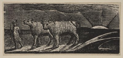 Unyokd Heifers, Loitering Homeward (aus Thorntons Pastorals of Virgil, 1821) von William Blake