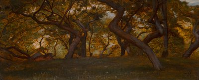 Ein Wald bei Volterra, Italien von William Blake Richmond