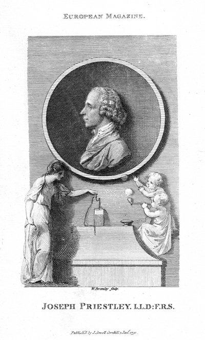 Joseph Priestley, englischer Chemiker und presbyterianischer Pfarrer, 1791 von William Bromley