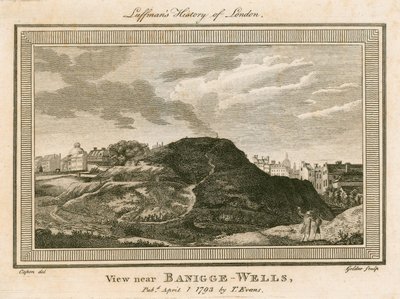 Ansicht von Bagnigge Wells, nahe Battle Bridge, Islington, London von William Capon