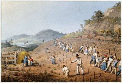 Das Land aufbrechen, aus 