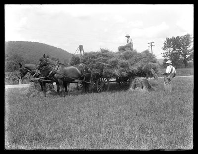 Zwei Männer laden Weizengarben auf einen Pferdewagen, wahrscheinlich die McCready-Farm, Crawford County, Pennsylvania, ca. 1913 von William Davis Hassler