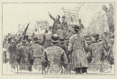 Das Hyde Park Treffen, Sonntag, 20. November von William Douglas Almond