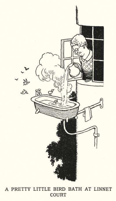Ein hübsches kleines Vogelbad in Linnet Court von William Heath Robinson