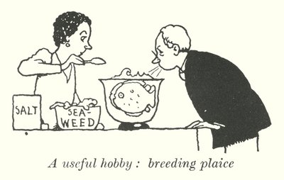 Ein nützliches Hobby, Scholle züchten (Lithografie) von William Heath Robinson