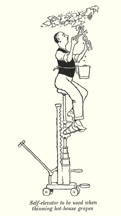 Selbstaufzug zur Verwendung beim Ausdünnen von Treibhaus-Trauben von William Heath Robinson