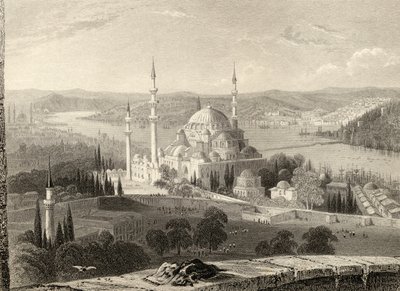 Moschee und Grab von Sulieman, vom Seraskier-Turm, Istanbul, Türkei, graviert von H. Adlard von William Henry Bartlett