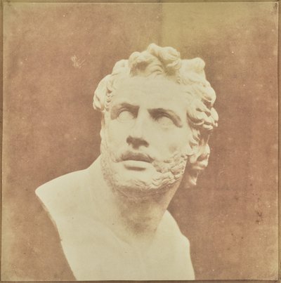 Büste des Patroklos von William Henry Fox Talbot
