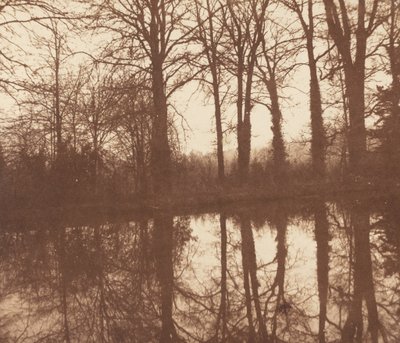 Winterbäume, reflektiert in einem Teich von William Henry Fox Talbot