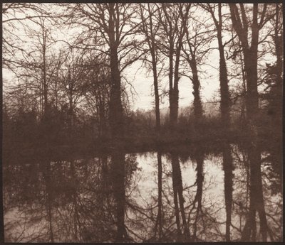 Winterbäume, die sich in einem Teich spiegeln, 1841-42 von William Henry Fox Talbot