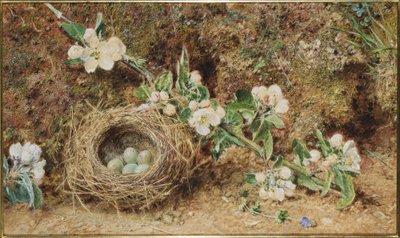 Vogelnest und Blüte von William Henry Hunt