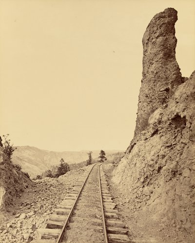 Toltec-Schlucht vom Portal von William Henry Jackson