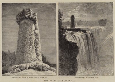 Die Niagarafälle von William Henry James Boot