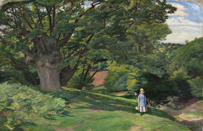 Hayes Common von William Henry Millais