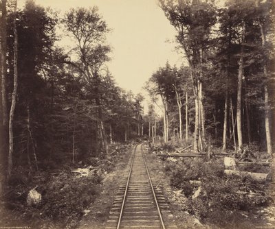 Ganoga-See-Zweig, ca. 1895 von William Herman Rau