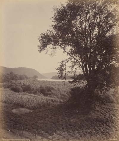 Malerische Susquehanna, nahe Laceyville, um 1895 von William Herman Rau