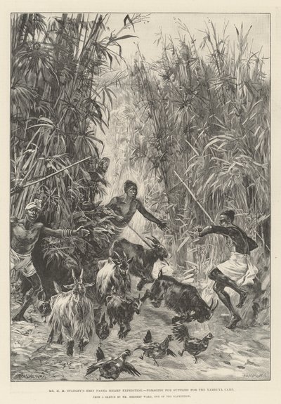 Mr. H. M. Stanleys Emin Pasha Entlastungsexpedition, auf der Suche nach Vorräten für das Yambuya-Lager von William Heysham Overend