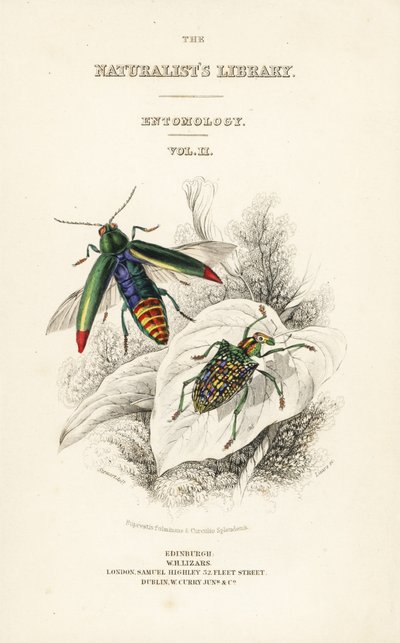 Titelseite mit Vignette des Juwelenkäfers, Chrysochroa fulminans, und des Patchflügel-Diamantkäfers, Curculio splendens von William Home Lizars