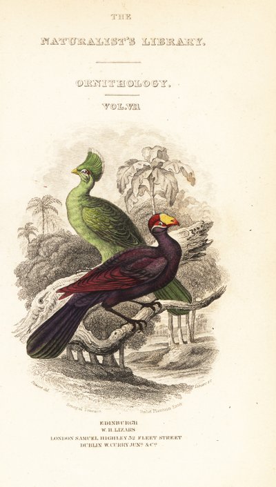 Titelseite mit Vignette des Guinea-Turakos, Tauraco persa buffoni, und des Violett-Turakos, Musophaga violacea von William Home Lizars