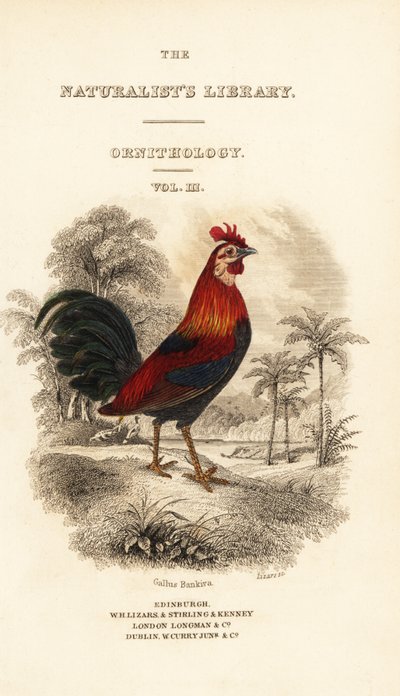 Titelseite mit Vignette des Bankivahuhns (Javan), Gallus gallus bankiva von William Home Lizars