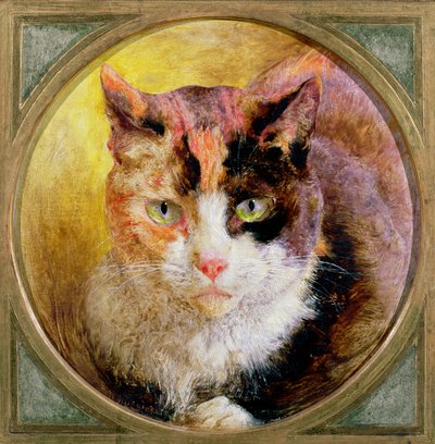 Ein Kopfstudie einer Schildpattkatze, 1866 von William Huggins