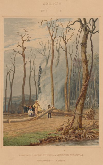 Frühling--Brennende gefällte Bäume in einer gerodeten Lichtung. Westliche Szene von William James Bennett after George Harvey